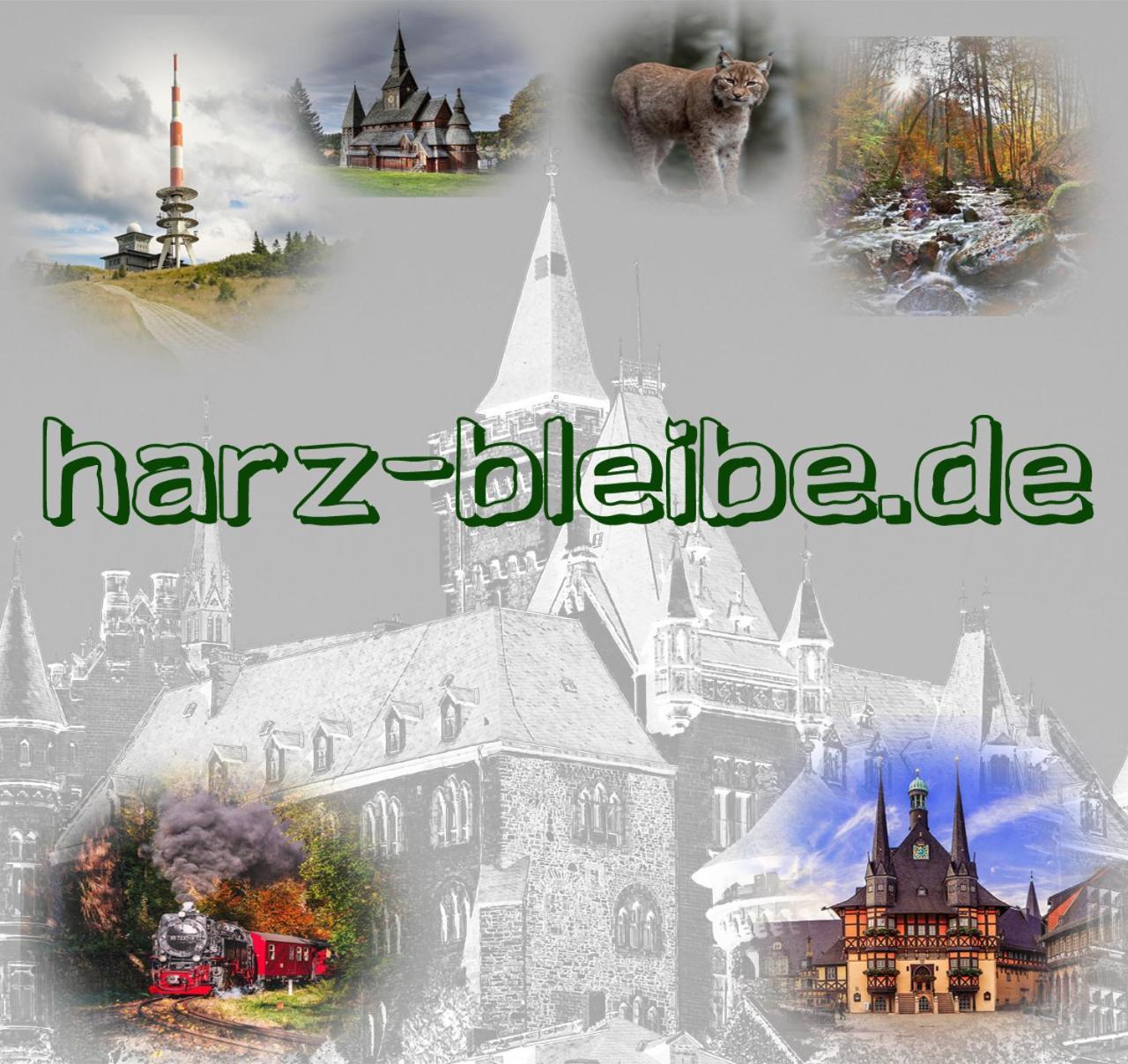 Апартаменты Harz-Bleibe Вернигероде Экстерьер фото